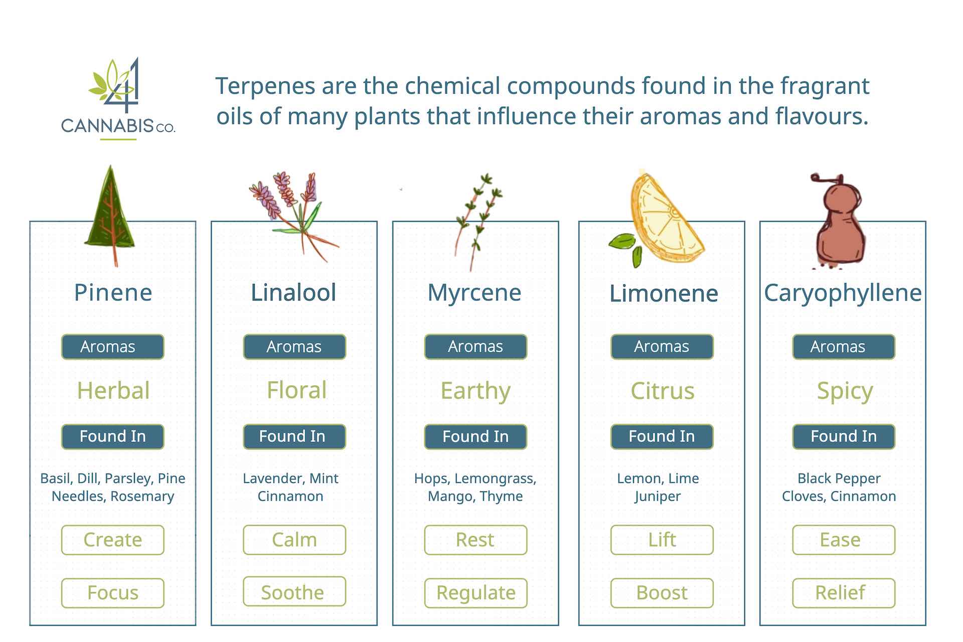 Cannabis Terpenes & How They Work